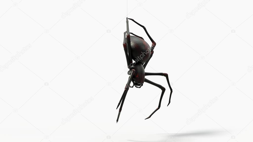 hanging black spider. with red skin details. suitable for horror, halloween, arachnid and insect themes. 3d illustration with white background.