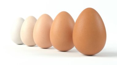Yumurtanın beş tonunu sıraladım. Sıraya dizilmiş yumurtanın farklı renkleri. 3D illüstrasyon, yemek, yumurta ve çiftlik temaları için uygun.
