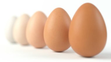Yumurtanın beş tonunu sıraladım. Sıraya dizilmiş yumurtanın farklı renkleri. 3D illüstrasyon, yemek, yumurta ve çiftlik temaları için uygun.