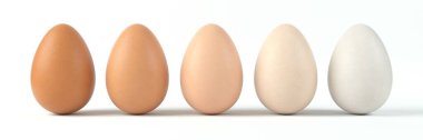 Yumurtanın beş tonunu sıraladım. Sıraya dizilmiş yumurtanın farklı renkleri. 3D illüstrasyon, yemek, yumurta ve çiftlik temaları için uygun.