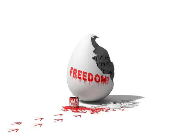Concept of freedom — Stock Photo, Image