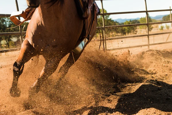 Çalışan Back Home