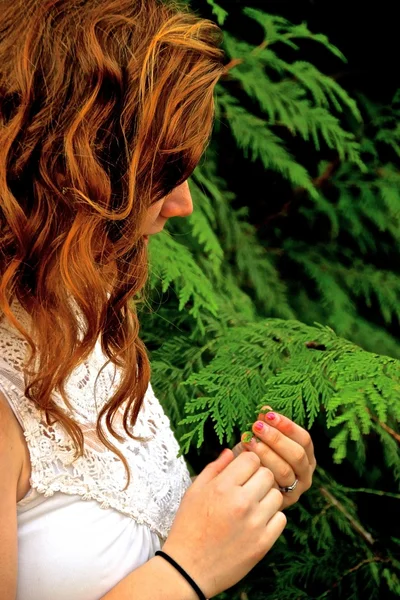 Bütün yıl boyunca yeşil