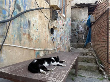 Tiflis, Gürcistan - 8 Nisan 2021: Eski Tiflis sokaklarında yürü 