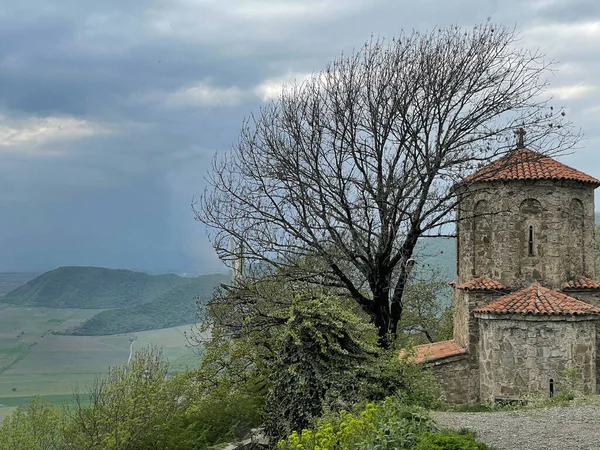 Klasztor Nekresi Kacheti Gruzja — Zdjęcie stockowe
