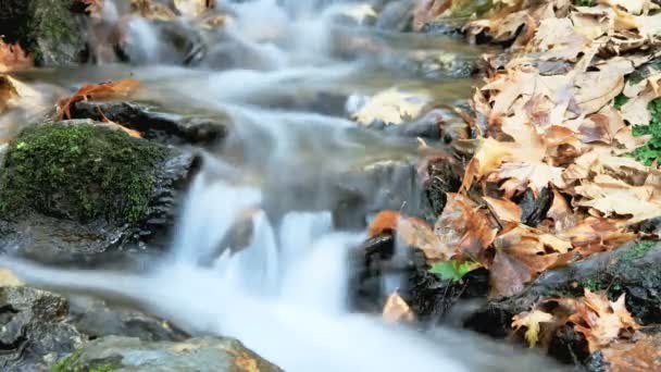 Upływ czasu strumienia 4k — Wideo stockowe