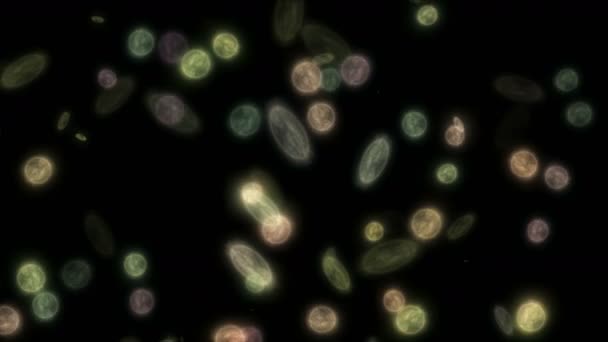 Bacterias infectan abstracto 4k — Vídeo de stock