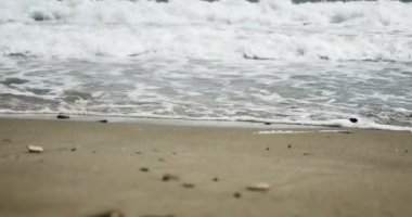 Beach 4k güzel dalgalar