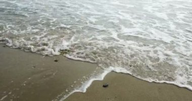 Beach 4k güzel dalgalar