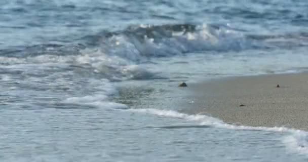 Красивые волны на пляже 4k — стоковое видео