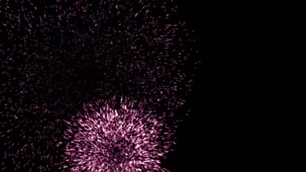 Cinco segundos de celebração fogos de artifício 4k — Vídeo de Stock