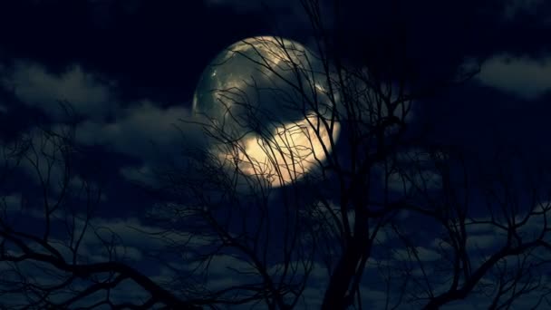Lune se lève à travers les nuages et l'arbre 4k 