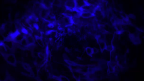 Vloeibare abstract blauw 4k — Stockvideo