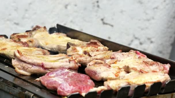 Fleisch über dem Grill 4k — Stockvideo