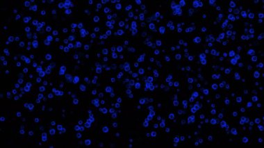 virüs 4 k'dan fazla mavi