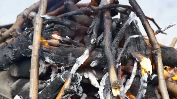 feu de barbecue en 4k 