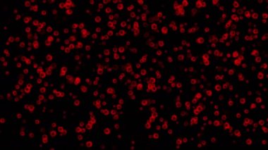 virüs 4 k kırmızı