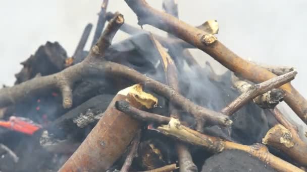 feu de barbecue en 4k 
