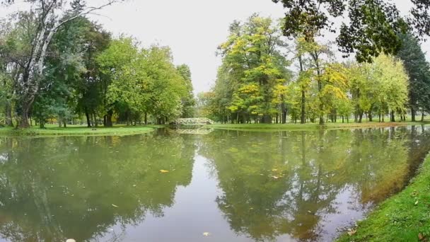 Natuurpark in de zomer — Stockvideo