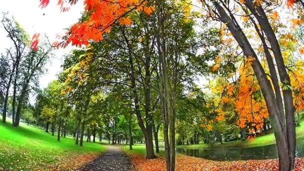 Parque natural en otoño — Vídeos de Stock