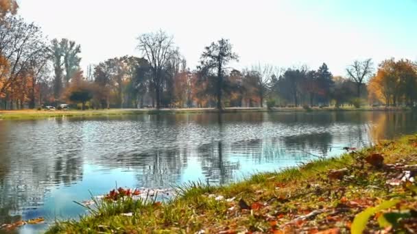 Autunno nel parco nazionale 4k — Video Stock