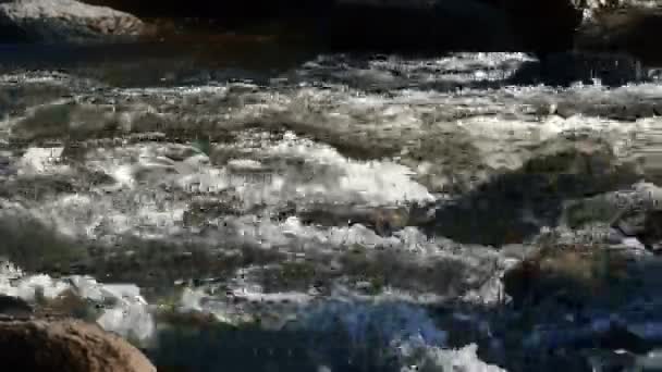 Река быстро в 4k — стоковое видео
