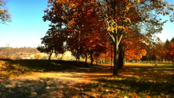 Parque nacional en otoño — Vídeos de Stock