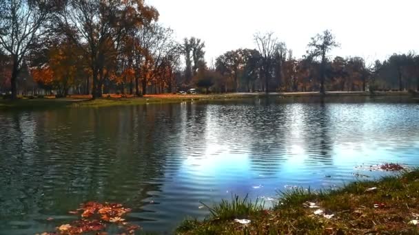 Parco nazionale in autunno — Video Stock