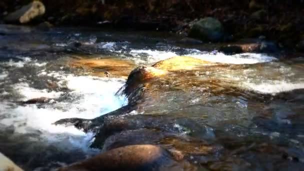 Nehir hızlı yavaş hareket — Stok video