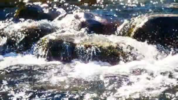 Річка швидкий повільний рух — стокове відео