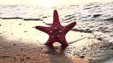 denizyıldızı beach günbatımı üzerinde