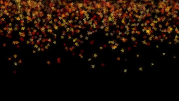 feuilles d'automne automne automne 