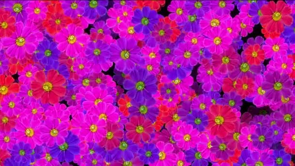 virágok háttér absztrakt textúra