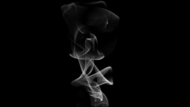 Cigarrillo Humo abstracto — Vídeo de stock