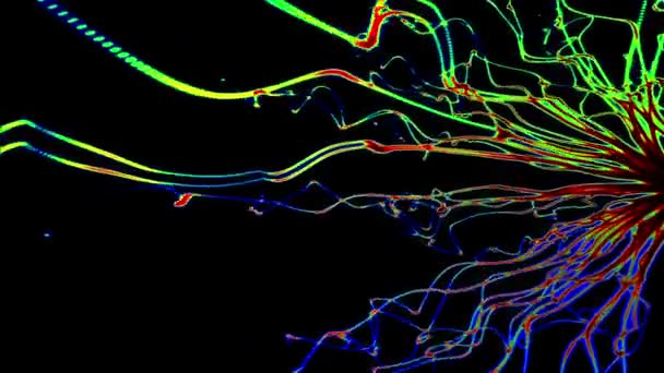 Tentacules résumé RGB — Video