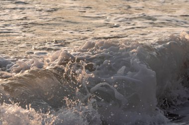 Dalgalar deniz kıyısı makrosu sıçratıyor. Yaklaş.