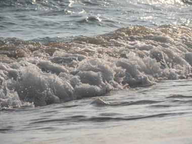 Dalgalar deniz kıyısı makrosu sıçratıyor. Yaklaş.