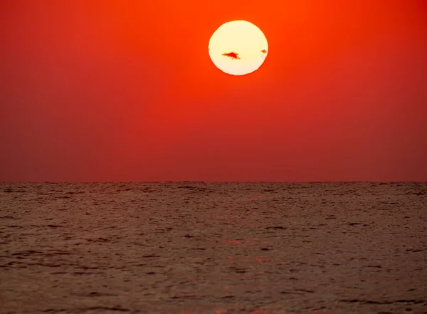 big sun down over sea sunrise, red sky