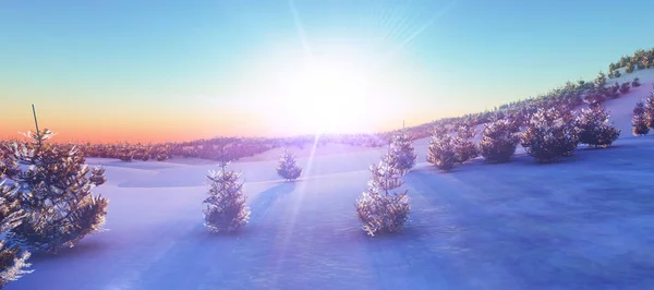 Над Зимним Лесом Изображение Заката — стоковое фото