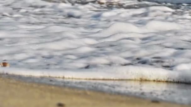 Beach wave makró lassított felvétel — Stock videók