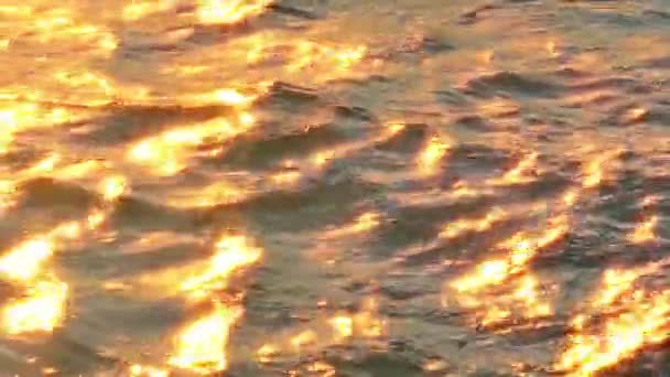 Gün doğumu altın deniz yavaş çekim 4k — Stok video