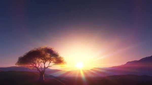 sunset at meadow and lonely tree, 3d render illustration