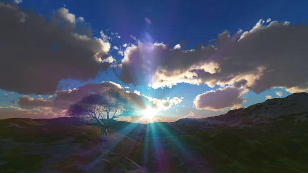 sunset at meadow and lonely tree, 3d render illustration