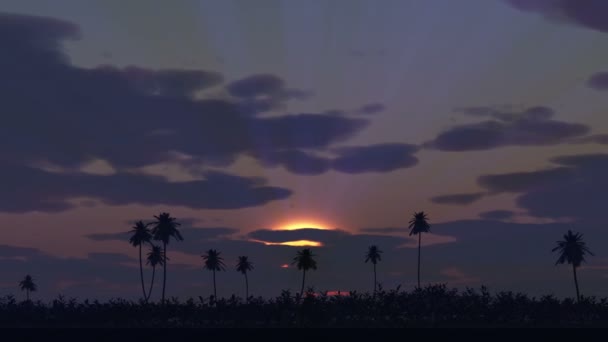 Soluppgång över palm tid förfaller — Stockvideo