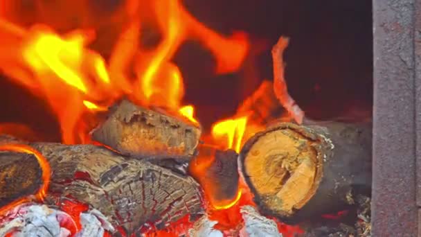 Öppen spis trä lågor aska närbild makro 4k — Stockvideo