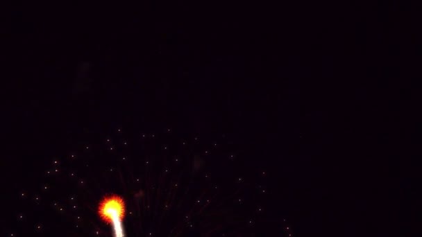 休日の夜のカラフルな花火｜4k — ストック動画