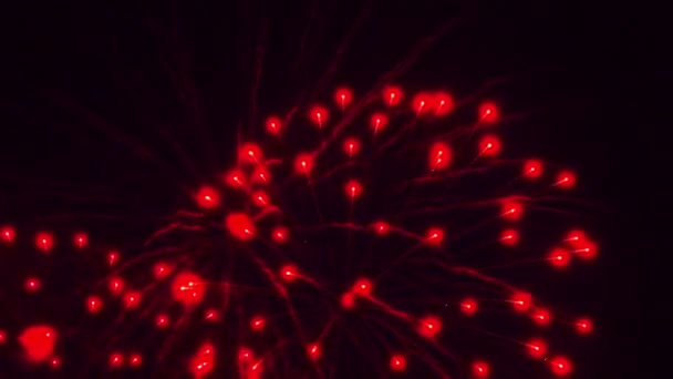 Colorful Fireworks At Holiday Night 4k — Stock Video