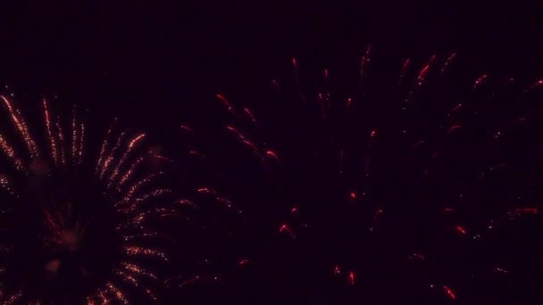Красочный фейерверк в праздничную ночь 4k — стоковое видео