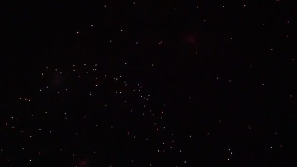 Πολύχρωμα πυροτεχνήματα τη νύχτα των διακοπών 4k — Αρχείο Βίντεο