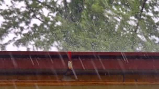 Тяжелый Rain Hitting House Roof и Rain Gutter 4k — стоковое видео